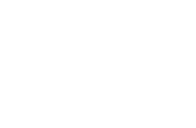 Logo showing Microsoft partner accreditation